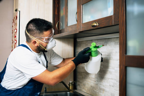 Best Best Pest Control Companies  in Conyers, GA