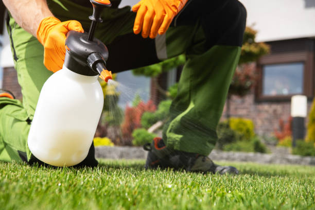 Best Pest Prevention Services  in Conyers, GA