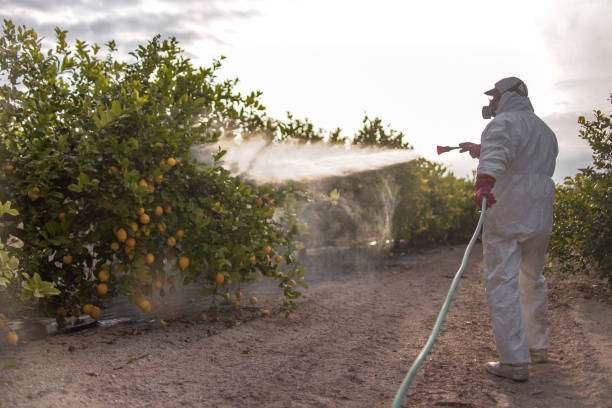 Best Wildlife Control Services  in Conyers, GA