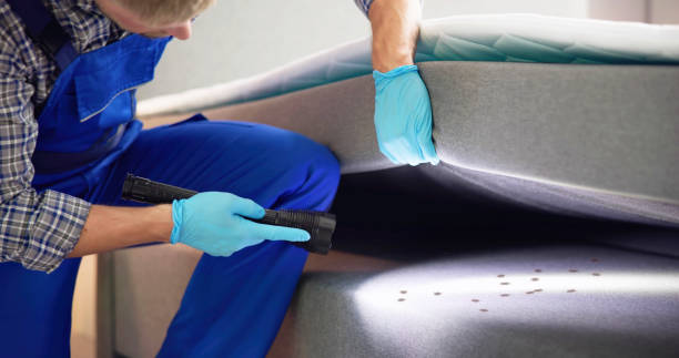 Best Cockroach Control Services  in Conyers, GA