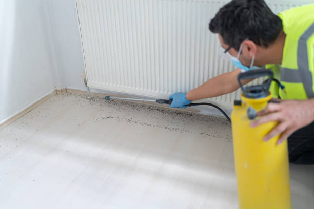 Best Pest Control Near Me  in Conyers, GA